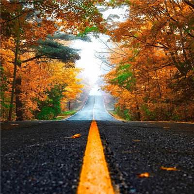 青海整治非法倾倒取得阶段性成效